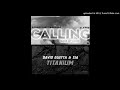 titanium vs calling david guetta u0026 sia vs sebastian ingrosso u0026 alesso mashup remake