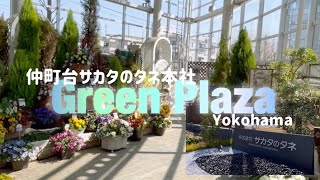 【ぶらり旅】サカタのタネ 本社 Green Plaza 無料　#旅 #横浜 #散歩