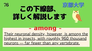 【大学受験英語対策・京都大学】短文難問読解シリーズ76【among】