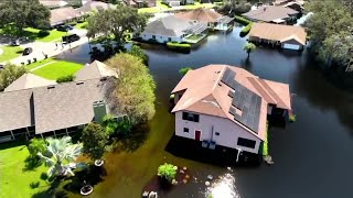 Floridians concerned about mold growth after hurricane flooding