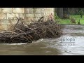 inundaciones y varios ríos bajo vigilancia los efectos del temporal continúan en galicia