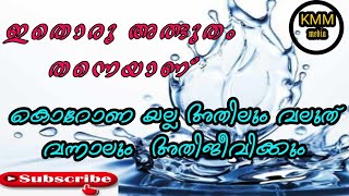 ഇത് ഒരു അത്ഭുതം തന്നെ     കൊറോണ അല്ല ഏത് രോഗത്തെയും അതിജീവിക്കും.