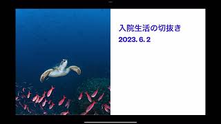 闘病生活　ぼくの1日（6/2）※PCR検査結果