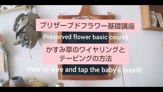 プリザーブドフラワー基礎講座  かすみ草編　Basic course of preserved flower　How to wire and tap the baby's breath