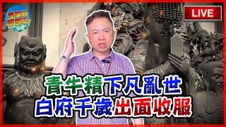 青牛精下凡亂世 白府千歲出面收服