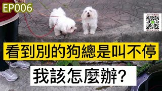 狗吠叫-狗狗教學影片-狗狗看到狗都會叫不停,我該怎麼辦? -狗狗行為矯正訓練