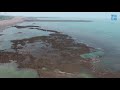 Algal Reef From Aerial View - Datan Algal Reef Hope Spot