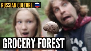 Learn Russian Culture And Traditions - Mushrooms