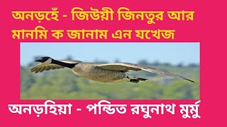 #ᱡᱤᱣᱤ ᱡᱤᱱᱛᱩᱨ ᱟᱨ ᱢᱟ.ᱱᱢᱤ ᱠᱚ ᱡᱟᱱᱟᱢ ᱮᱱ ᱡᱚᱠᱷᱮᱡ - ᱯᱚᱸᱰᱤᱛ ᱨᱚᱜᱷᱩᱱᱟᱛᱷ ᱢᱩᱨᱢᱩ