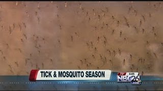 Tick \u0026 Mosquito Season Arrives in Northeast Wisconsin