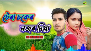 টেৰা চকেৰ নজৰ দিয়া আমায় পাগল কইৰো না || bangla new song 2024 || মনেৰ পাখি