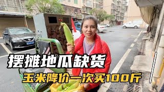 摆地摊地瓜告急，玉米大降价，烤贝贝南瓜到底好不好卖？