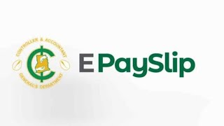 HOW TO ACCESS YOUR E-PAYSLIP