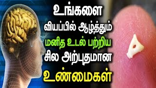 உங்களை வியப்பில் ஆழ்த்தும் மனித உடல் பற்றிய அற்புத உண்மைகள்