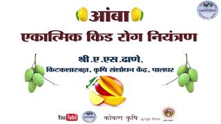 आंबा पिकावरील एकात्मिक कीड/रोग नियंत्रण व अन्नद्रव्य व्यव्थापन । MANGO IPM