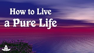 Zindagi Ko Sachaai Se Jiye | How to Live a Pure Life