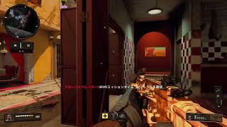 [Cod:bo4]  少しやったら出掛けます。初見様歓迎！