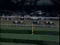 1989 whitney handicap easy goer