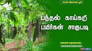 பந்தல் காய்கறி பயிர்கள் சாகுபடி   | Successful Farmer Story