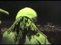 vaWinky D introducing new track Musarova bigman pt2