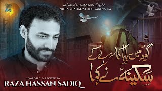 Sakina Nay Kaha | Raza Hassan Sadiq | New Noha Shahadat Bibi Sakina (sa ) Album | Muharram 2023 |