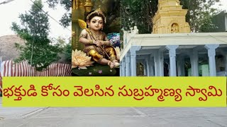 Sri subramanya Swamy temple, Pakala|| శ్రీ సుబ్రహ్మణ్య స్వామి దేవాలయం , పాకాల, చిత్తూరు జిల్లా