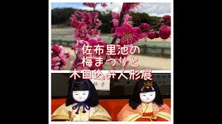 ★佐布里池の梅まつりと木目込み人形展We have seen the Kimekomi doll exhibition at Plum Festival