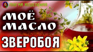 Готовое масло из зверобоя | Домашнее зверобой масло