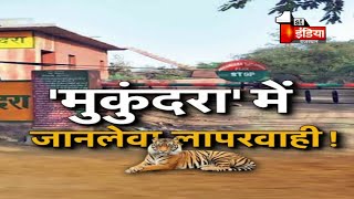 Mukundara में जानलेवा लापरवाही से MT-3 Tiger की मौत