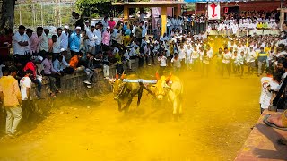 पप्पूशेठ पिंगळे ( भाकर्या बैलगाडा संघटना वडगाव का )१२,३६ सेकंद