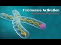 𝄞 Telomerase Activation! ~ Telomere Rejuvenation for Eternal Youth V2.1 ~ Classical Music