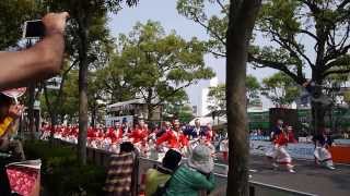 2013よさこい全国大会（8/12）ほにや