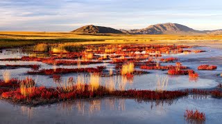 Discovering Mongolia's Mystical Uvs Lake | Lakes on the Roof of the World