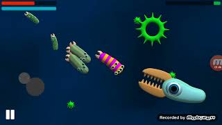 Evolution simulator 2 part 2