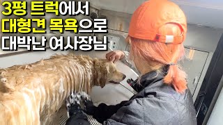 3평 트럭에서 강아지 목욕시키며 월 2000만원 버는 여사장님 [전국출장 씻고올개]ㅣ대형견목욕ㅣ휴먼스토리ㅣ자영업자이야기ㅣ탐구생활ㅣ돈버는사람들