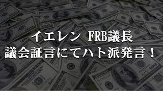 イエレン FRB議長 議会証言にてハト派発言！