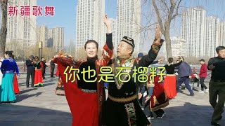 新疆歌舞《你也是石榴籽》，歌曲动听舞蹈优美，太精彩了！