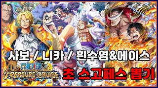 원피스 트레저 크루즈]연말 초스고페스 니카/사보/흰수염\u0026에이스 뽑기 생방송~!! onepiece treasure cruise gear 5 luffy summons 원트크