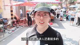 d西仓花鸟鱼虫大集：热闹接地气，头回见母斗鱼，老鱼盆专卖独一份