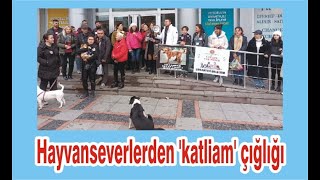 Hayvanseverlerden 'katliam' çığlığı