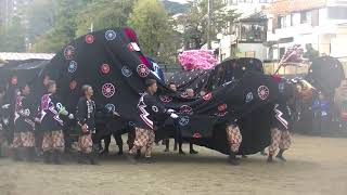 南信州獅子舞フェスティバル2019　飯沼諏訪神社奉納音楽獅子舞4