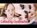 Obsessed with Collecting Cockroaches , My Kid's Obsession, Trailer