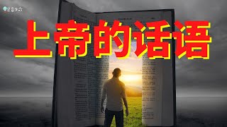 生命智慧 237 【圣经 - 为什么你需要上帝的话语】此生必须要读的一本书 l 装备生命