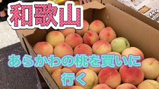 和歌山　あら川の桃を買いに行く(わんことお出かけ)