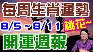 2019生肖運勢週報｜08/05-08/11｜金玲老師（有字幕）