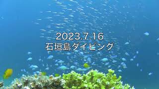 2023.7.16 石垣島ダイビング