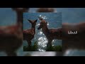 الخطايا | أتيت وقد توزعت الهدايا || ( بطيئ ) || Slow Islamic song