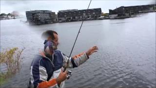 Dropshot vissen op baars en snoekbaars