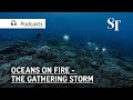 Oceans on fire – the gathering storm | Green Pulse Podcast