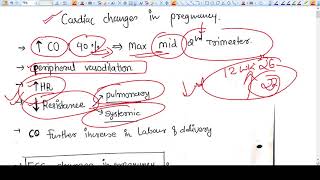 Cardiac Changes in Pregnancy - Knowledge Capsule